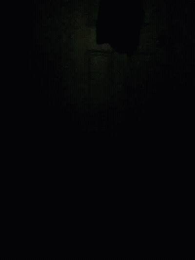 Bald Man In White Shirt Black Tie Holding Brush GIF