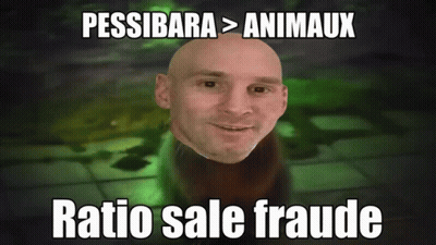 Bald Man Pessibara Animaux Ratio Sale Fraude GIF
