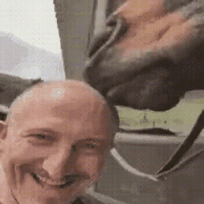 Bald Man Smiling While Horse Licks Head GIF