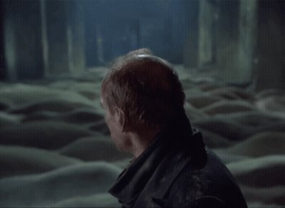 Bald Man Standing In Grass Field GIF