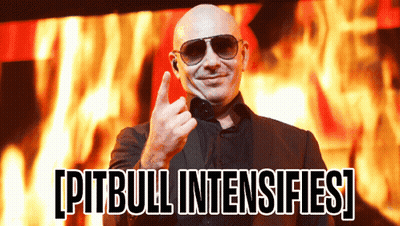 Bald Man Wearing Sunglasses Giving Middle Finger Pitbull Intensifies GIF