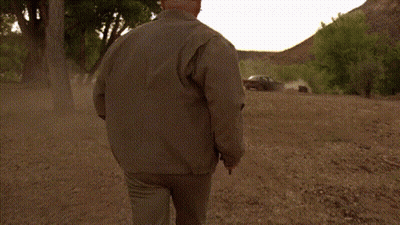Bald Man With Beard And Glasses In Field GIF