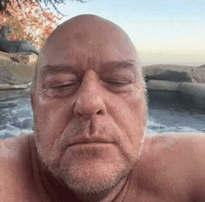 Bald Man With Beard Taking Selfie In Hot Tub GIF