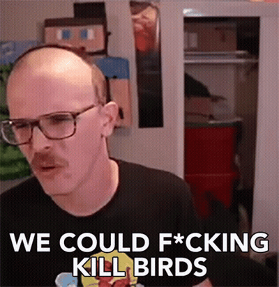 Bald Man With Glasses And Mustache Talking About Killing Birds GIF