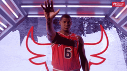 Ball Drop Cristiano Felicio NBA GIF