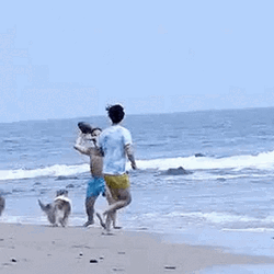 Ball Game On Funny Beach GIF