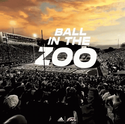 Ball In The Zoo Football Poster GIF