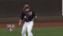 Ball Went Over My Head Baseball Game GIF