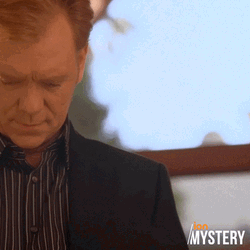 Baller CSI Horatio David Caruso GIF