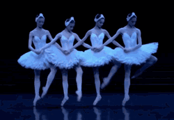 Ballet Ballerina Dancing Swan Lake GIF