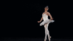 Ballet Ballerina Swan Lake GIF