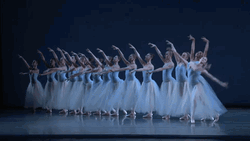 Ballet Ballerinas Succession Dance GIF
