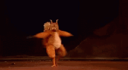 Ballet Dancer Dancing Squirrel GIF