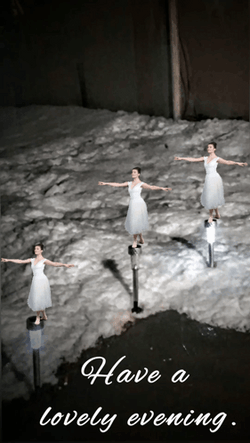 Ballet Have A Great Evening GIF