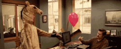Balloon Pop Ron Swanson GIF