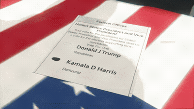 Ballot For Kamala Harris On Flag GIF