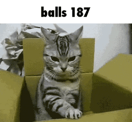 Balls 187 GIF