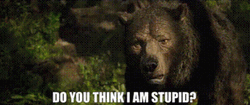Baloo Asking If He's Stupid From Jungle Book GIF