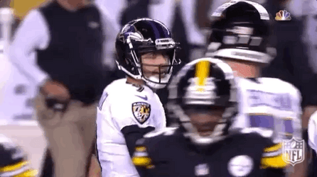 Baltimore Ravens Justin Tucker High Five GIF