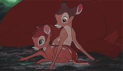 Bambi And Belle Play Bite