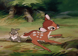 Bambi And Thumper Curious GIF