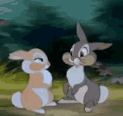 Bambi Film Thumber Miss Bunny Cartoon Love GIF