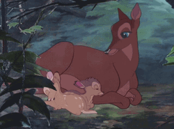 Bambi's Family GIF