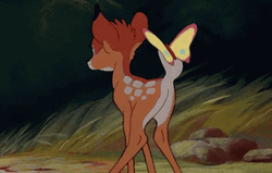 Bambi Seeing Butterfly