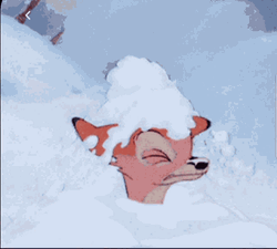 Bambi Shakes Off Snow