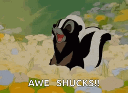 Bambi Skunk In Awe GIF
