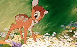 Bambi Sniffing Flowers GIF