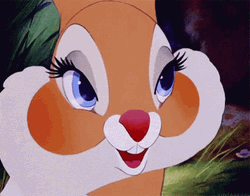Bambi Thumper Eyelashes  GIF