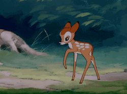 Bambi Walking
