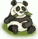 Bamboo Eating Panda