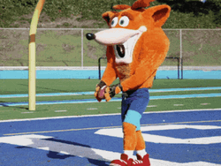 Bandicoot Punt Kick Football GIF