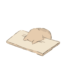 Bang Head Cat Table  GIF