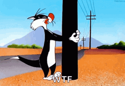 Banging Head Against Wall Bugs Bunny Sylvester Angry GIF