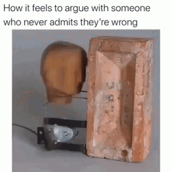 Banging Head Against Wall Wooden Structure GIF