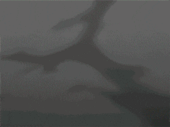 Bankai Bleach Power Anime Character  GIF