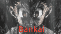 Bankai Hunter X Hunter Anime GIF