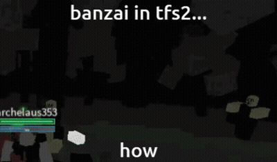 Banzai TFS2 How Video Game GIF