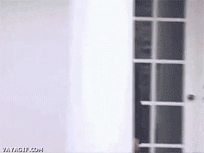 Barack Obama Door GIF