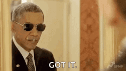 Barack Obama Posing On Mirror Saying Got It GIF