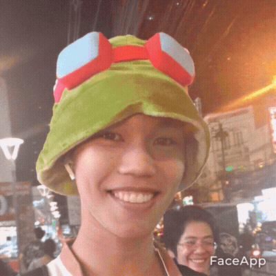 Barbie Doll Wearing Pink Flower Headband GIF