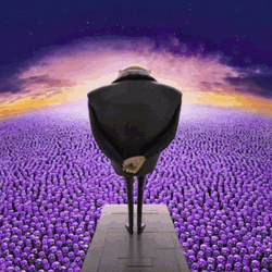 Barbjmi Purple GIF