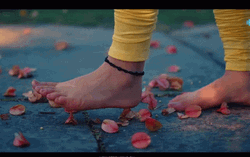 Bare Feet Walking On Petals  GIF