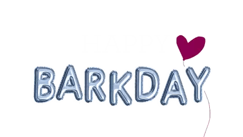 Barkday Written In Purple Balloons Sticker