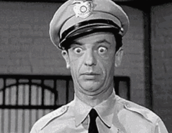 Barney Fife In Absolute Shock GIF