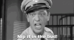 Barney Fife Screaming GIF