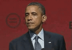 Barrack Obama What Eyebrow Raise GIF